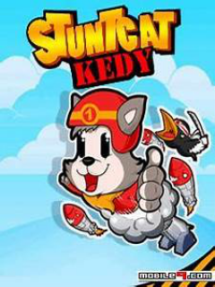 Stunt Cat Kedy