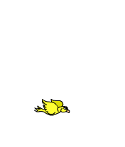 Yellow Bird