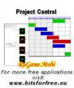 Project Control