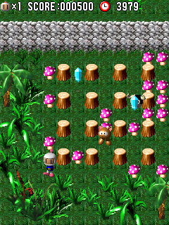 3D炸弹人2009珍藏版 (3D Bomberman 2009 Collector&s Edition)