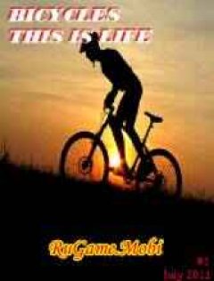 Bicycles - this is life