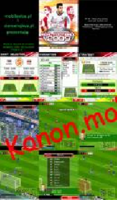 Real Football 2009 : Polska Ekstraklasa