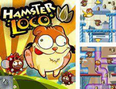 Hamster Loco