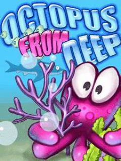 Octopus From Deep