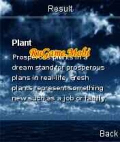 Dream Interpretation (Сонник)
