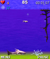 Shark Evolution