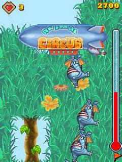 Animal Circus