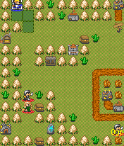 Castle Siege: The Forest Wars
