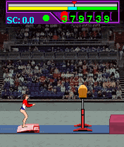 Gymnastics 2004