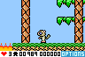 Flying Squirrel