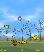 Ducks Hunting