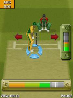 Cricket 2010