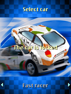 Rally 3D
