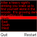 Dark Woods (Text Adventure)