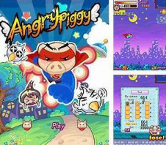 Angry Piggy