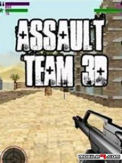Assault Team 3D