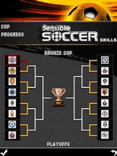 Sensible Soccer Skills