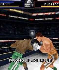 KO Fighters 3D