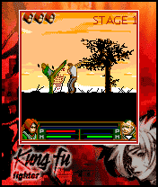 Kung Fu Fighter