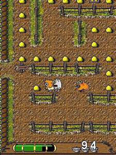 Funny Chicken
