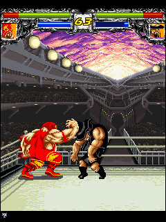 WWD: World Wrestling Demolition