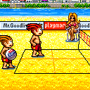 Playman Beach Volley
