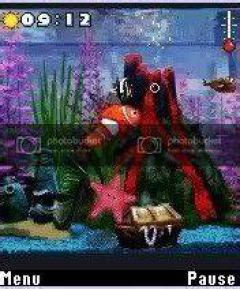 Nemos Aquarium