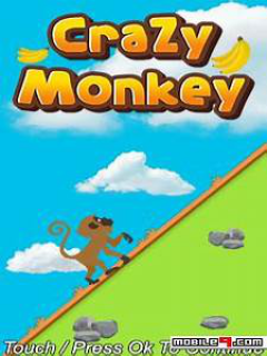 Crazy Monkey