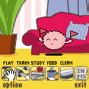 My Pet