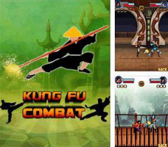 Kung Fu Combat