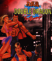 Double Dragon 2 The Revenge