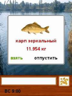 Рыбалка на Кубани