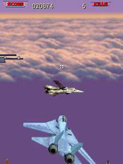 Tomcat Dogfight