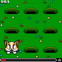 Manapack 01