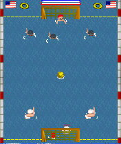 Palla Nuoto (Water Polo)