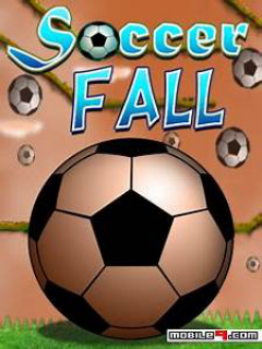 Soccer Fall