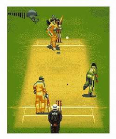 T20 Cricket 2012