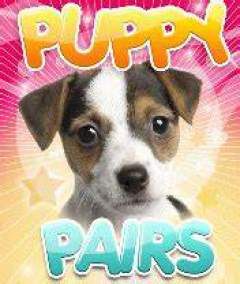 Puppy Pairs