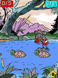 Turtlemania