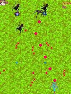 Spider Wars