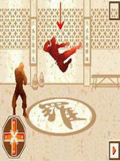 Kung Fu Infinity