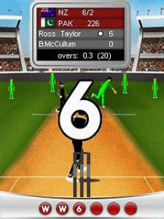 Powerplay Cricket