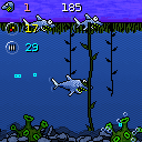 Shark Revolution: Finding Neo