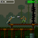 Predator