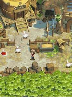 New Harvest Moon