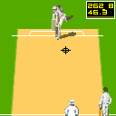 Cricket: 1 Day Series 2003