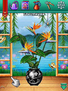 BioSim 2