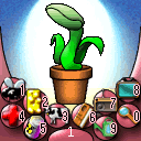 Venus Flytrap