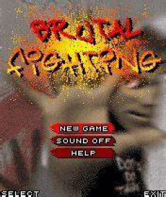 Brutal Fighting