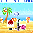 Summer Volley
